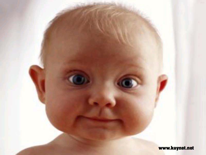 Bebek sütüne sigorta güvencesi