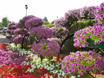 Eureko'da Can Akın Çağlar mesaisi