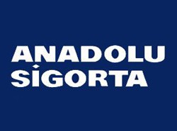 Anadolu Sigorta'da hasar işlemleri artık daha hızlı