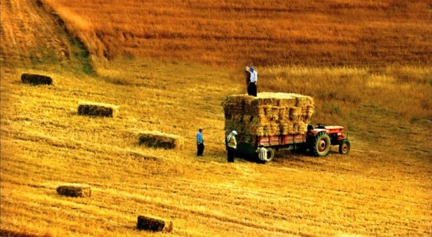 Tarım sigortalarında 1.3 milyon poliçeye ulaşıldı.