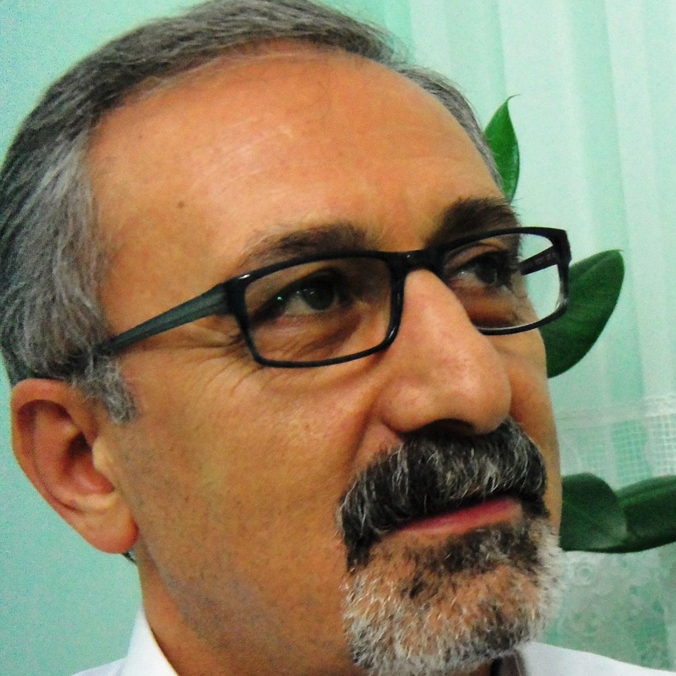 SİGORTA SEKTÖRÜNE GENEL BAKIŞ