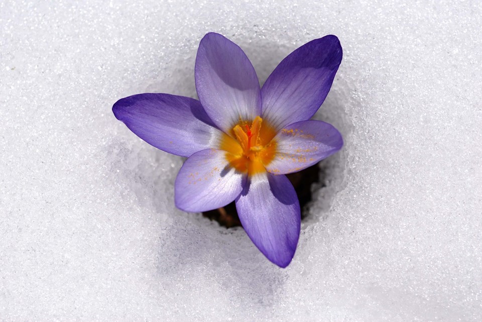 M E R H A B A ..........