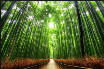 Trafik sigortasında 'havuz' dönemi