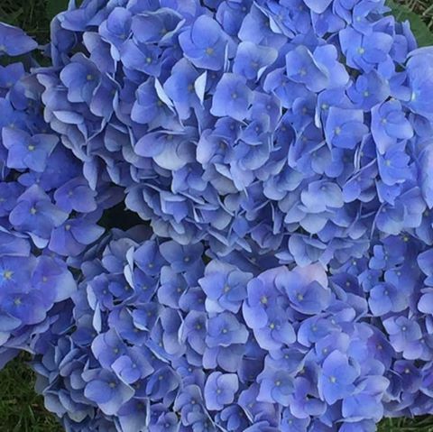 Trafikteki zarar yarı yarıya azaldı