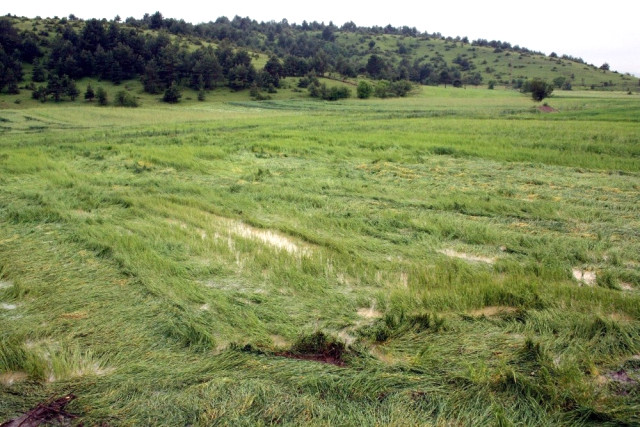 Sigorta Sadece Zor Zamanlarda Hatırlanmamalı
