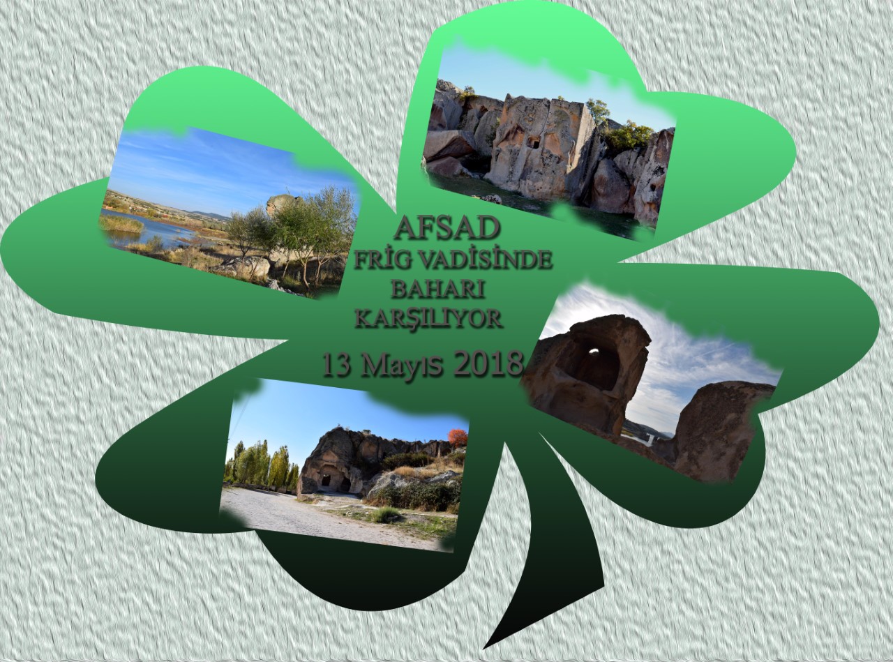 AFSAD FRİG VADİSİNDE