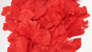 GÜL YAPRAĞI OLMAK !